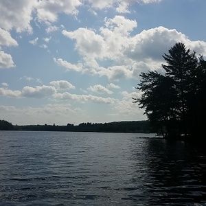 Meet your Posher, Piper